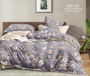 MB5786 (1) MB5786 (1)